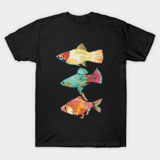 Three Fish- 2 Platty and 1Tiger Barb- The fish trio T-Shirt